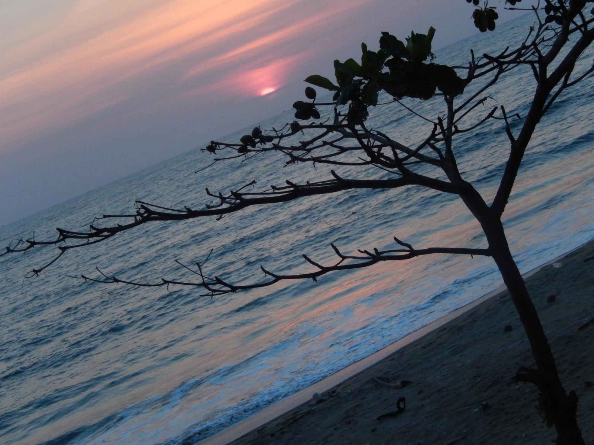 Sealine Beach Resorts Cherai Beach Exterior photo